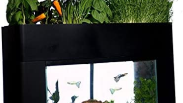 AquaSprouts Garden | huerto-acuario autosostenible