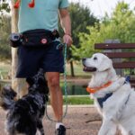 Bolsas de cintura para paseadores de perros