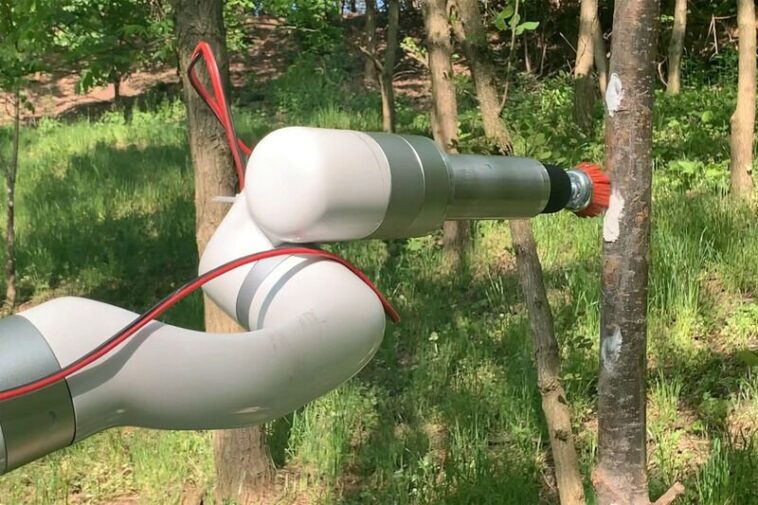 TartanPest | Robot Agrícola de Alta Tecnología Que Destruye Huevos de la Mosca linterna manchada